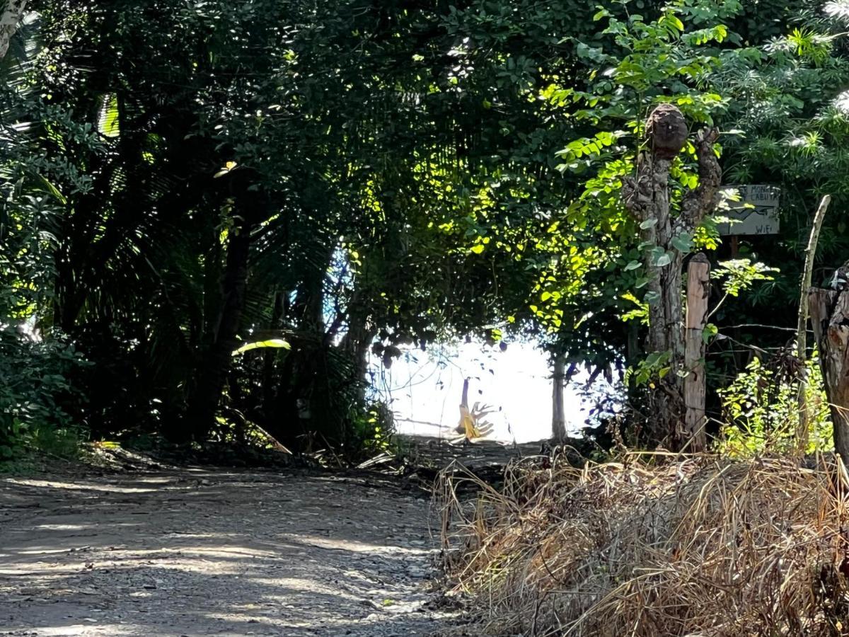 Las Plumas De Cabuya Cabuya  Dış mekan fotoğraf
